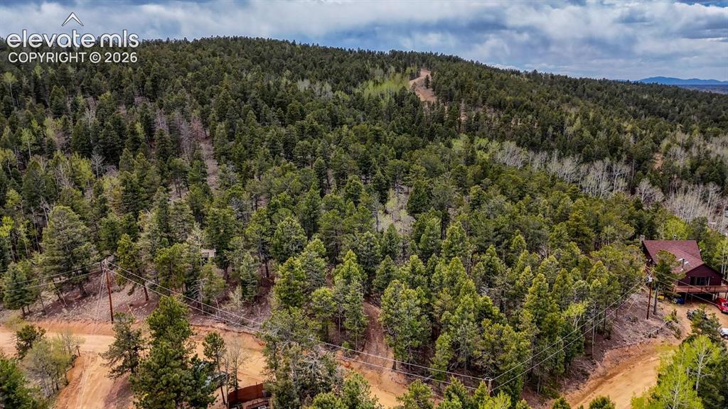 259 Potlatch Trail Woodland Park CO 80863