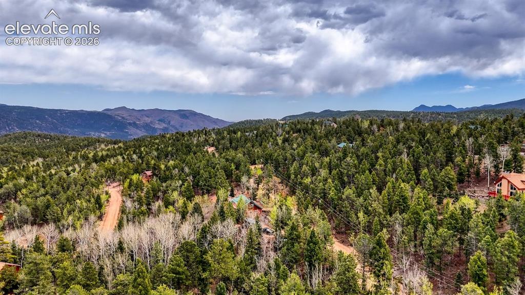 259 Potlatch Trail Woodland Park CO 80863