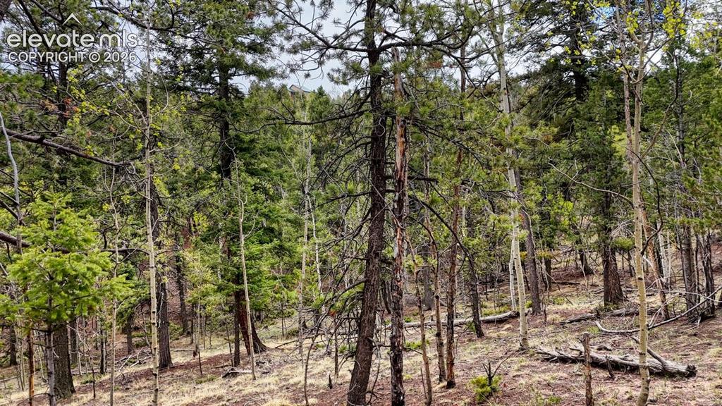 259 Potlatch Trail Woodland Park CO 80863