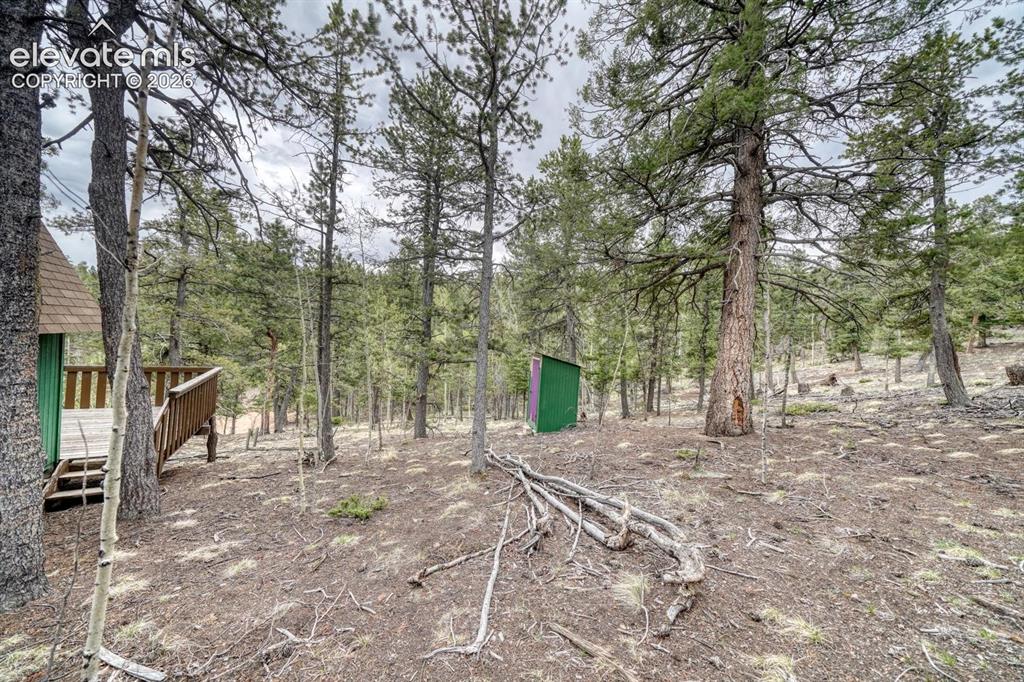 259 Potlatch Trail Woodland Park CO 80863