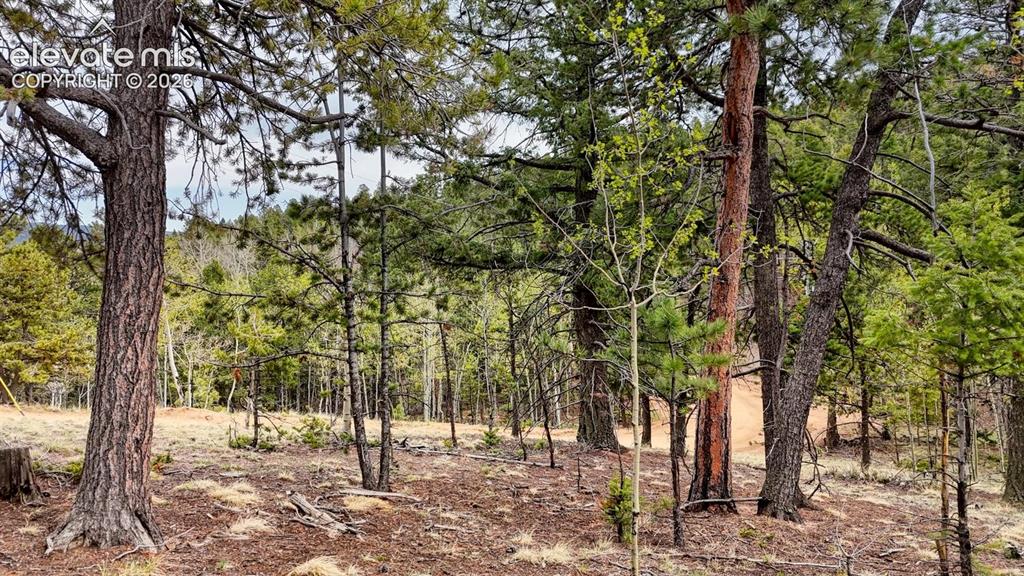 259 Potlatch Trail Woodland Park CO 80863