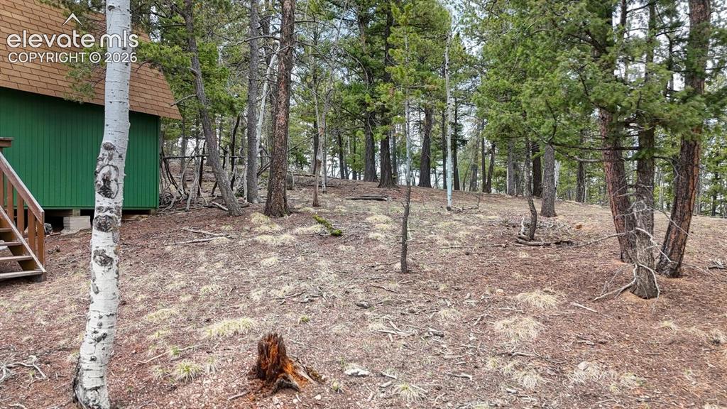 259 Potlatch Trail Woodland Park CO 80863