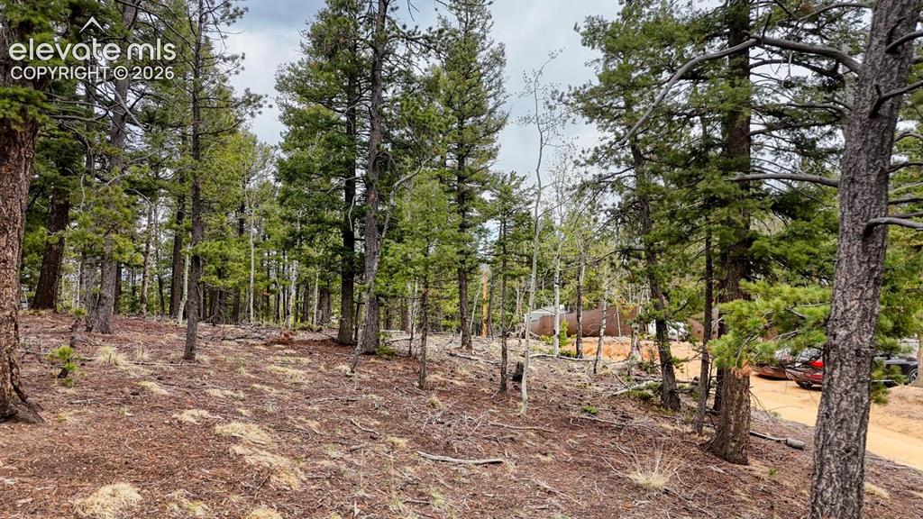259 Potlatch Trail Woodland Park CO 80863