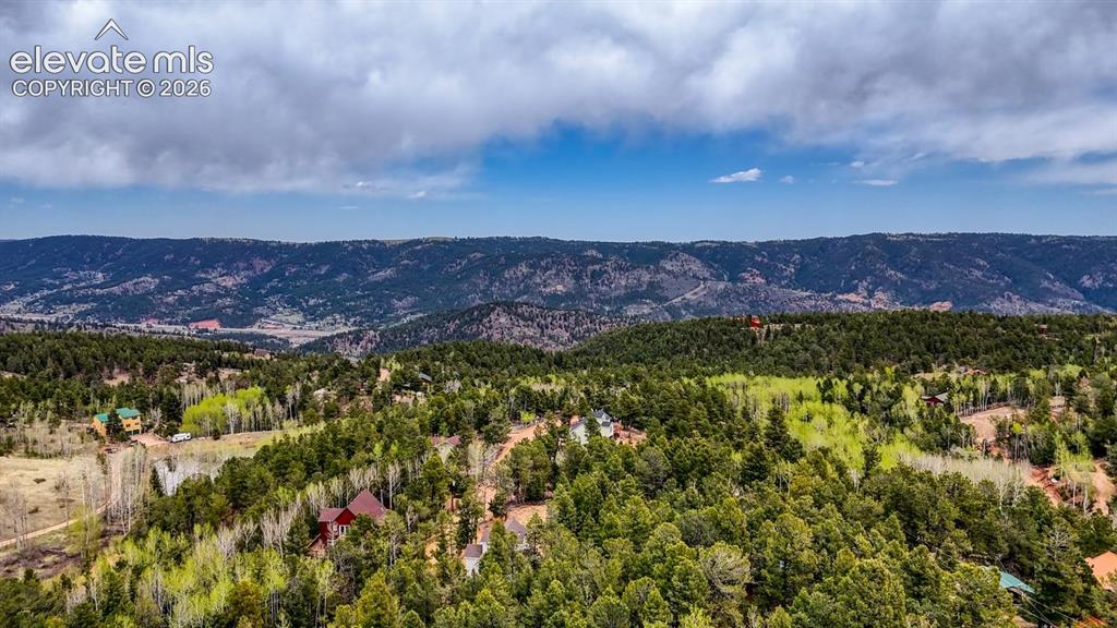 259 Potlatch Trail Woodland Park CO 80863