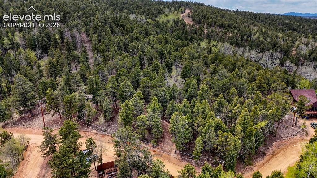 259 Potlatch Trail Woodland Park CO 80863