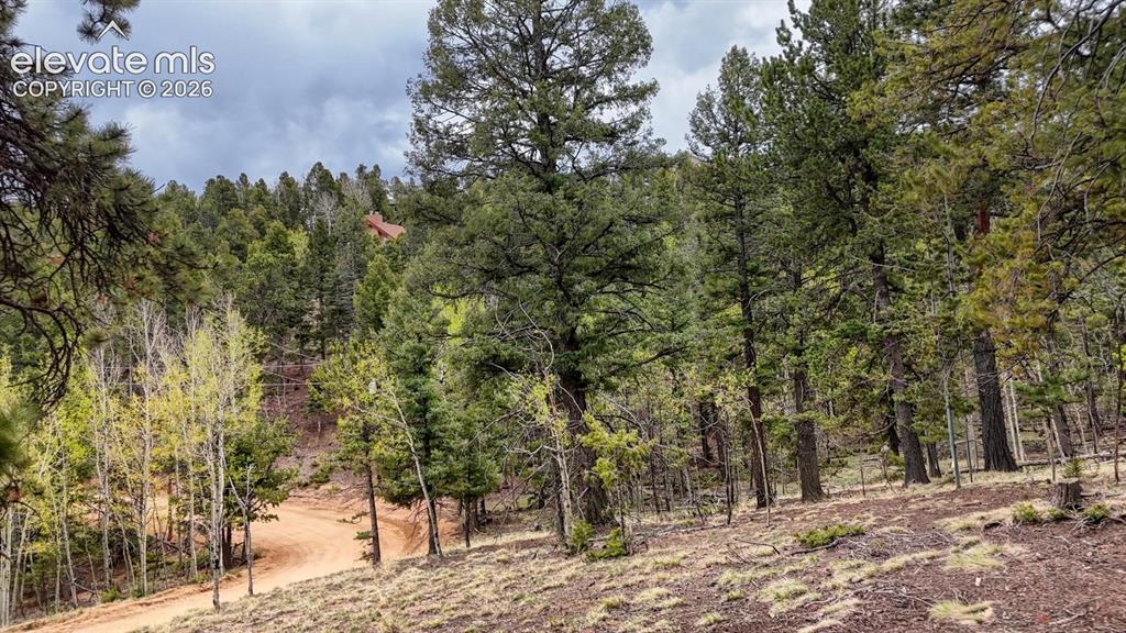 259 Potlatch Trail Woodland Park CO 80863