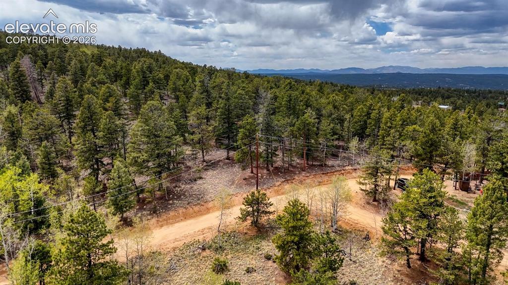 259 Potlatch Trail Woodland Park CO 80863