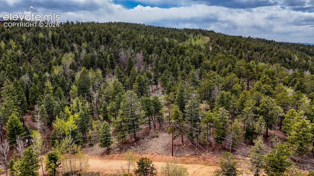 259 Potlatch Trail Woodland Park CO 80863