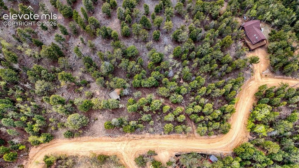 259 Potlatch Trail Woodland Park CO 80863