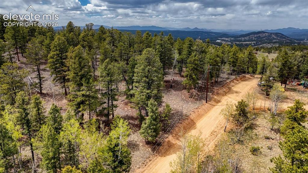 259 Potlatch Trail Woodland Park CO 80863
