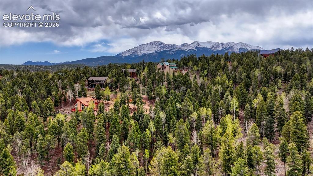 259 Potlatch Trail Woodland Park CO 80863