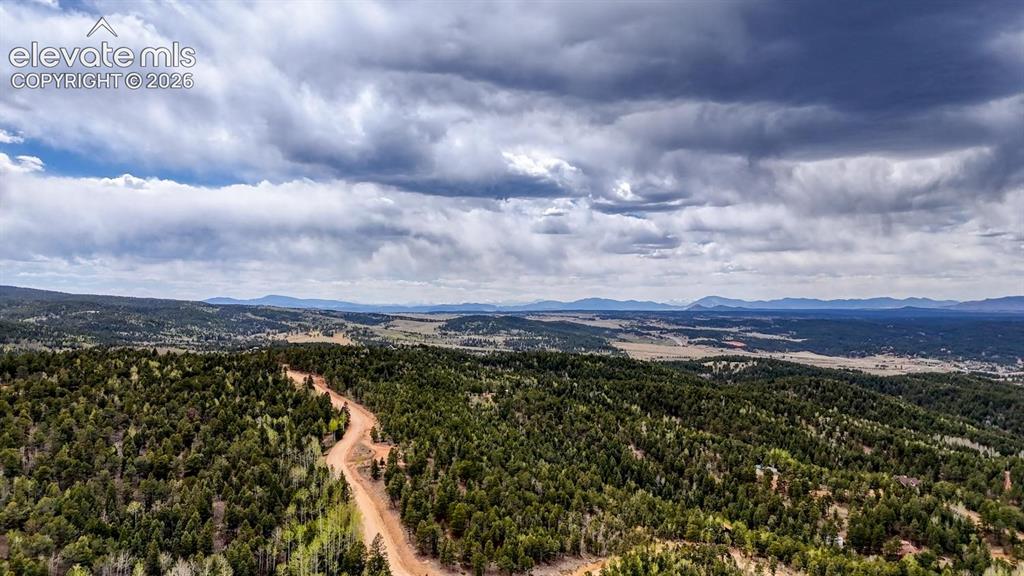 259 Potlatch Trail Woodland Park CO 80863