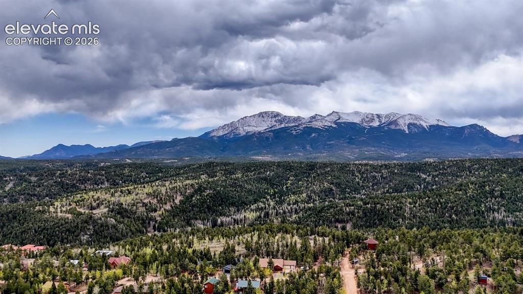 259 Potlatch Trail Woodland Park CO 80863