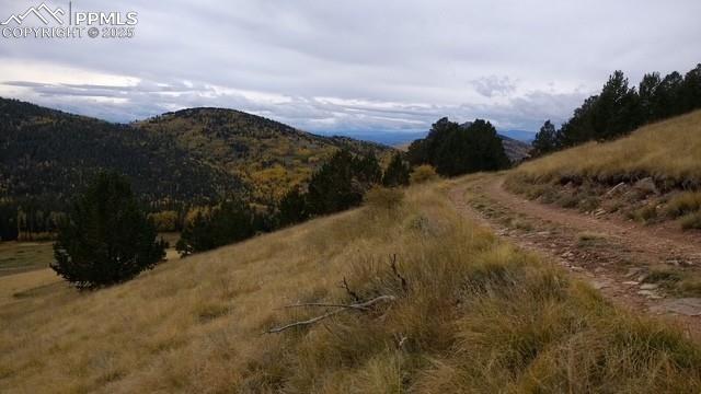 Highway 67 Cripple Creek CO 80813