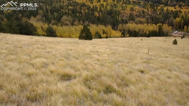 Highway 67 Cripple Creek CO 80813