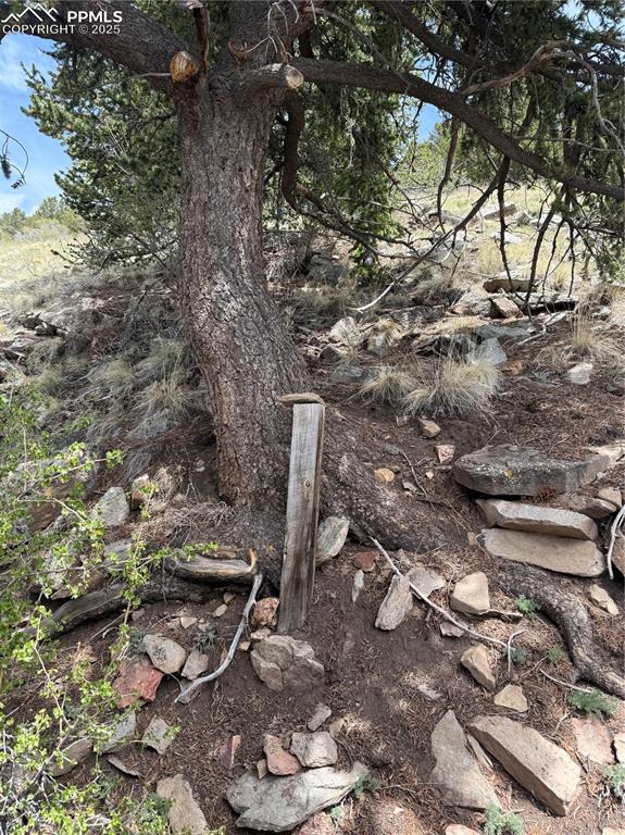 Highway 67 Cripple Creek CO 80813