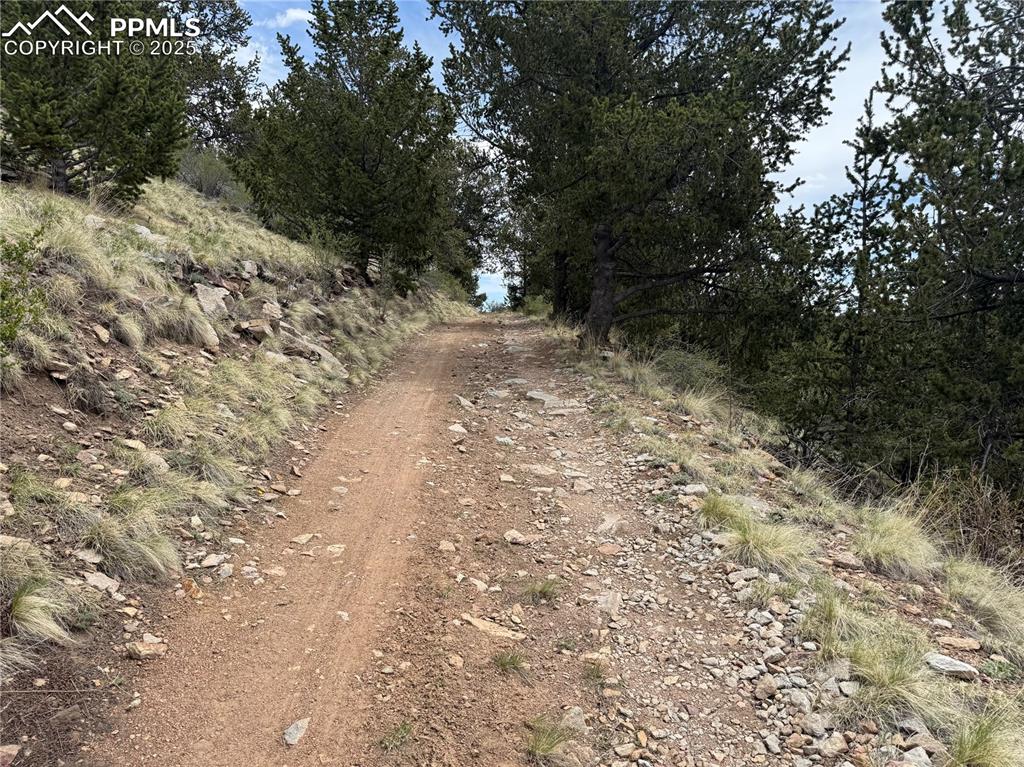 Highway 67 Cripple Creek CO 80813