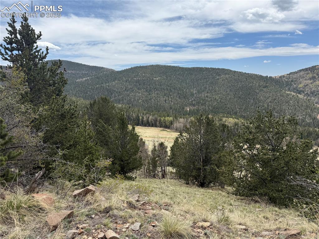 Highway 67 Cripple Creek CO 80813