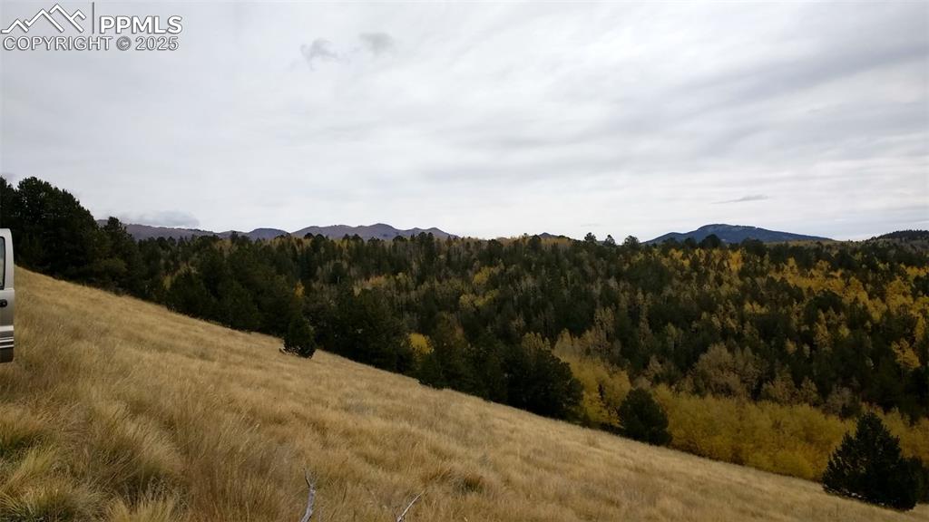 Highway 67 Cripple Creek CO 80813