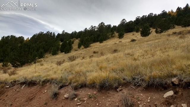 Highway 67 Cripple Creek CO 80813