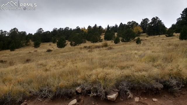 Highway 67 Cripple Creek CO 80813
