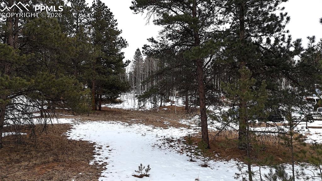 210 Rhyolite Lane Florissant CO 80816