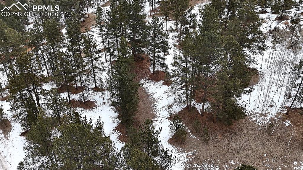 210 Rhyolite Lane Florissant CO 80816
