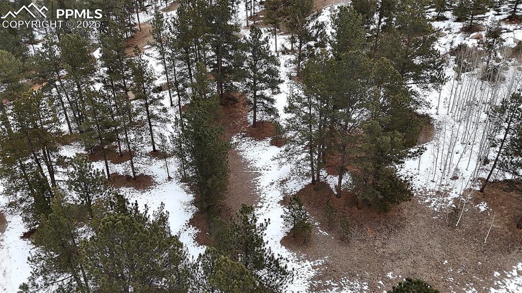210 Rhyolite Lane Florissant CO 80816