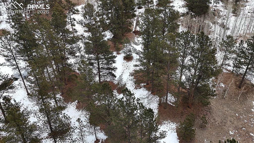 210 Rhyolite Lane Florissant CO 80816