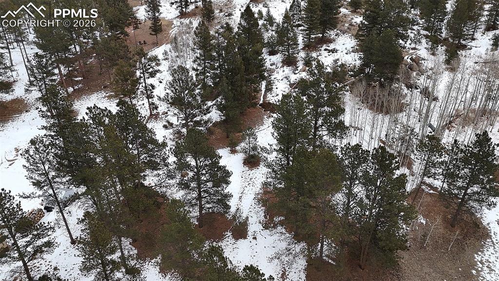 210 Rhyolite Lane Florissant CO 80816
