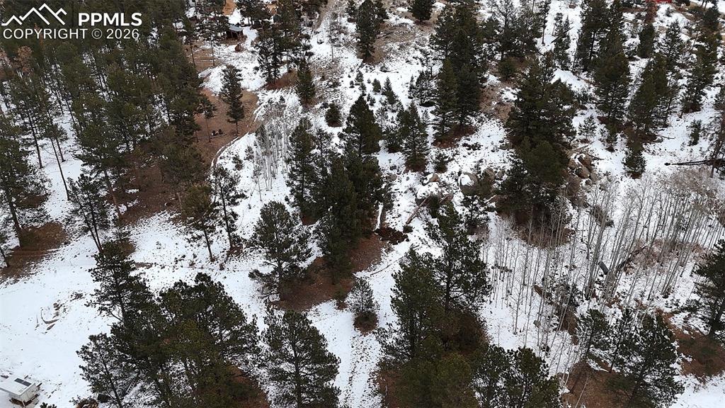 210 Rhyolite Lane Florissant CO 80816
