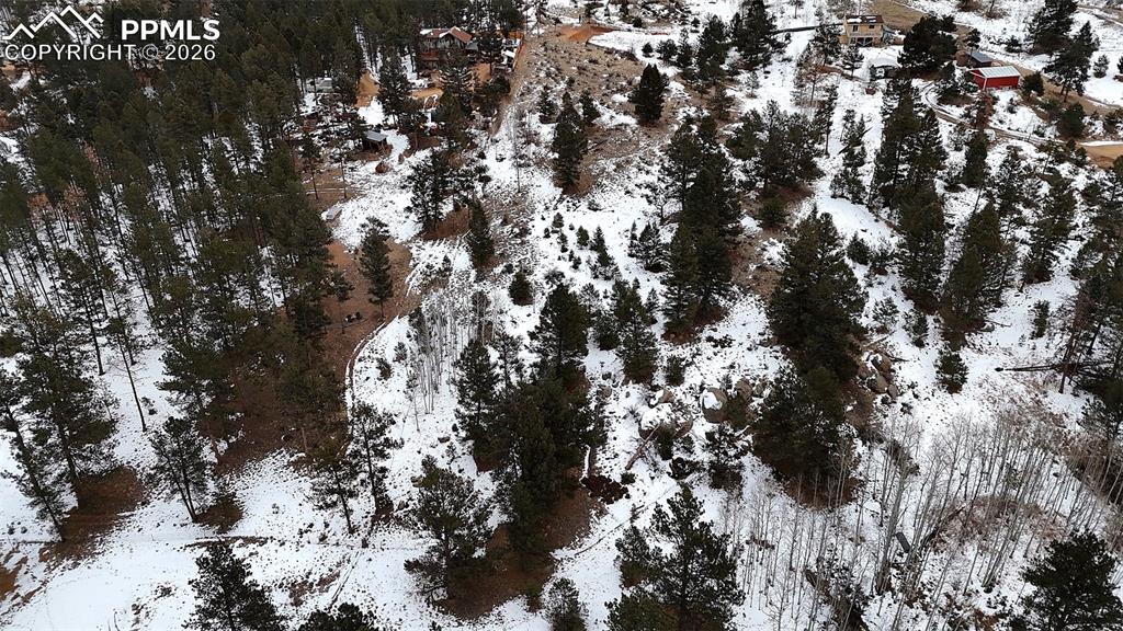 210 Rhyolite Lane Florissant CO 80816