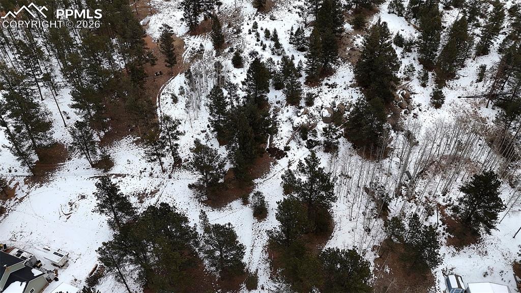 210 Rhyolite Lane Florissant CO 80816