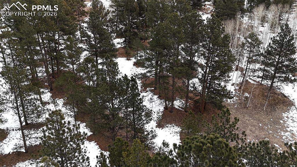 210 Rhyolite Lane Florissant CO 80816