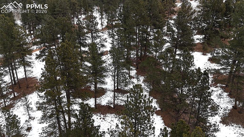 210 Rhyolite Lane Florissant CO 80816