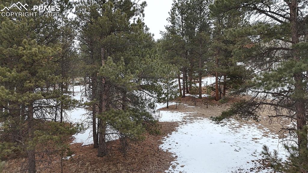 210 Rhyolite Lane Florissant CO 80816