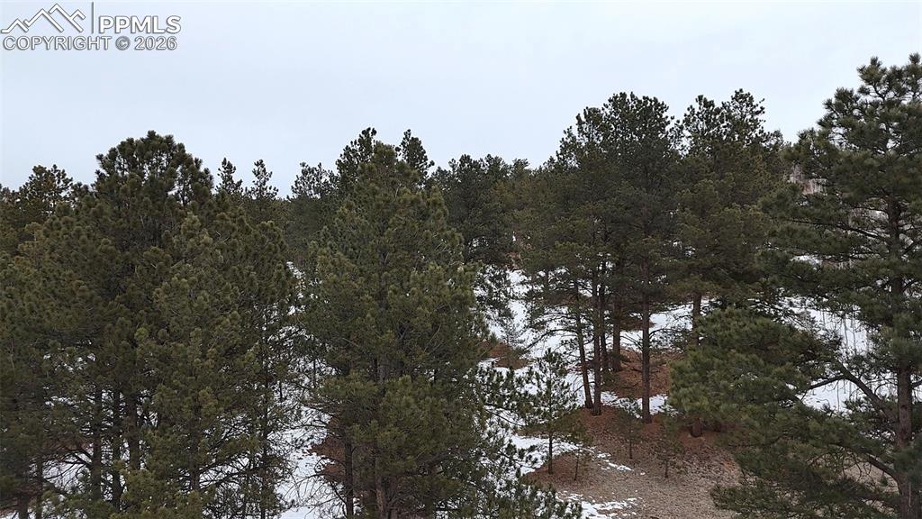 210 Rhyolite Lane Florissant CO 80816