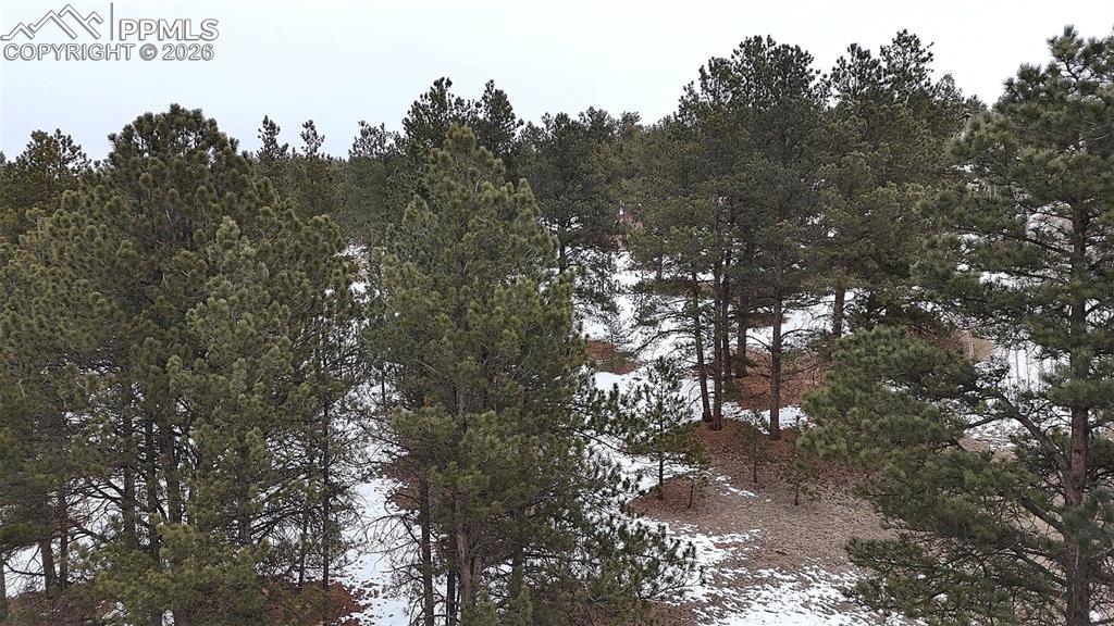 210 Rhyolite Lane Florissant CO 80816