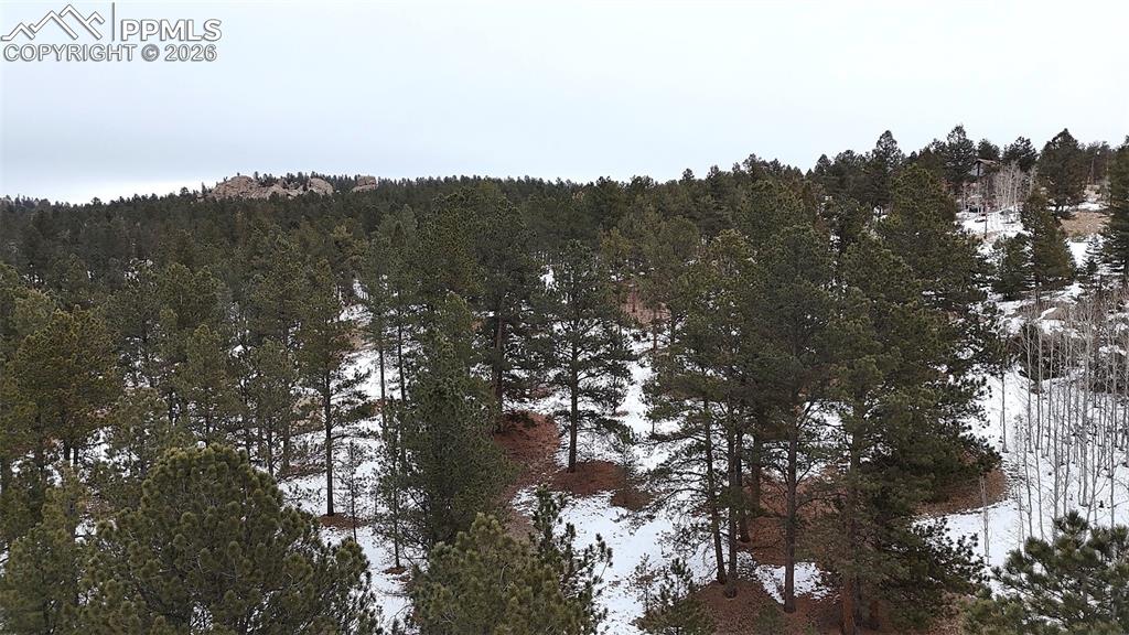 210 Rhyolite Lane Florissant CO 80816
