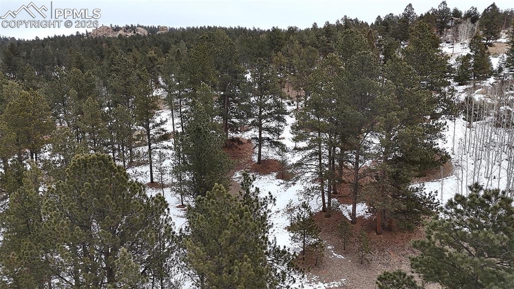 210 Rhyolite Lane Florissant CO 80816
