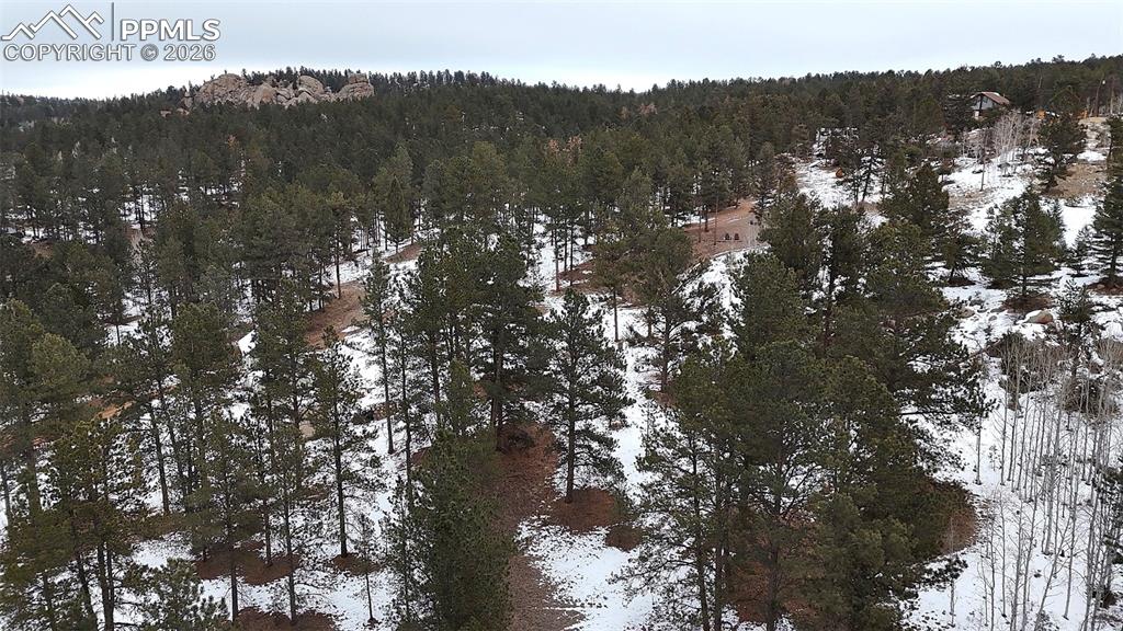 210 Rhyolite Lane Florissant CO 80816