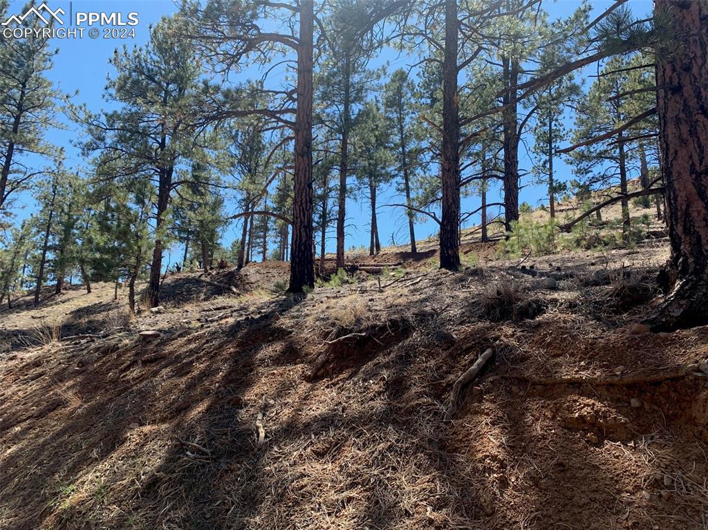 15421 Westcreek Road Woodland Park CO 80863