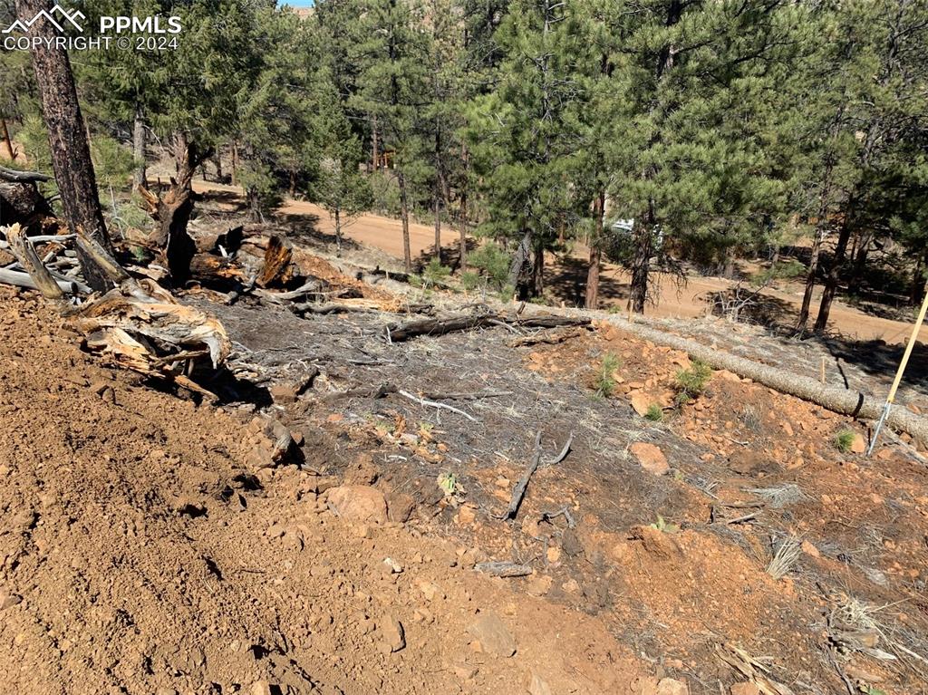 15421 Westcreek Road Woodland Park CO 80863