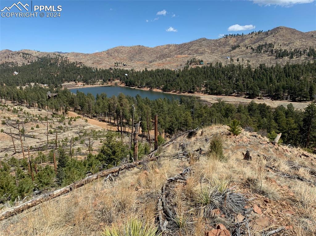 15421 Westcreek Road Woodland Park CO 80863