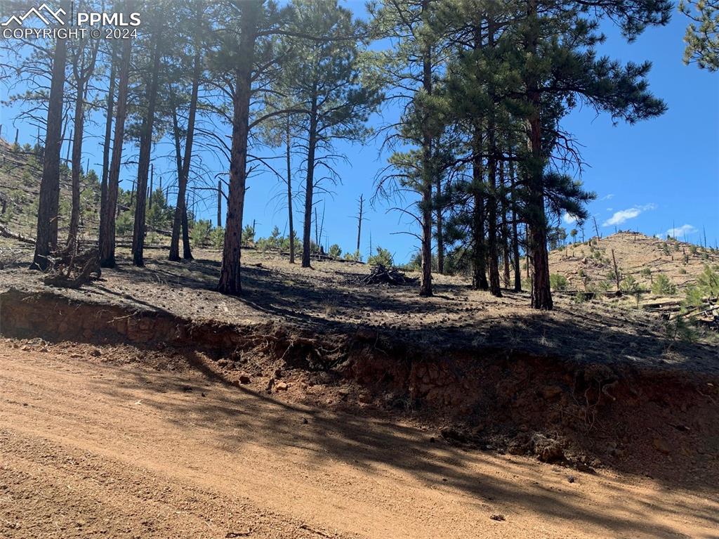 15421 Westcreek Road Woodland Park CO 80863