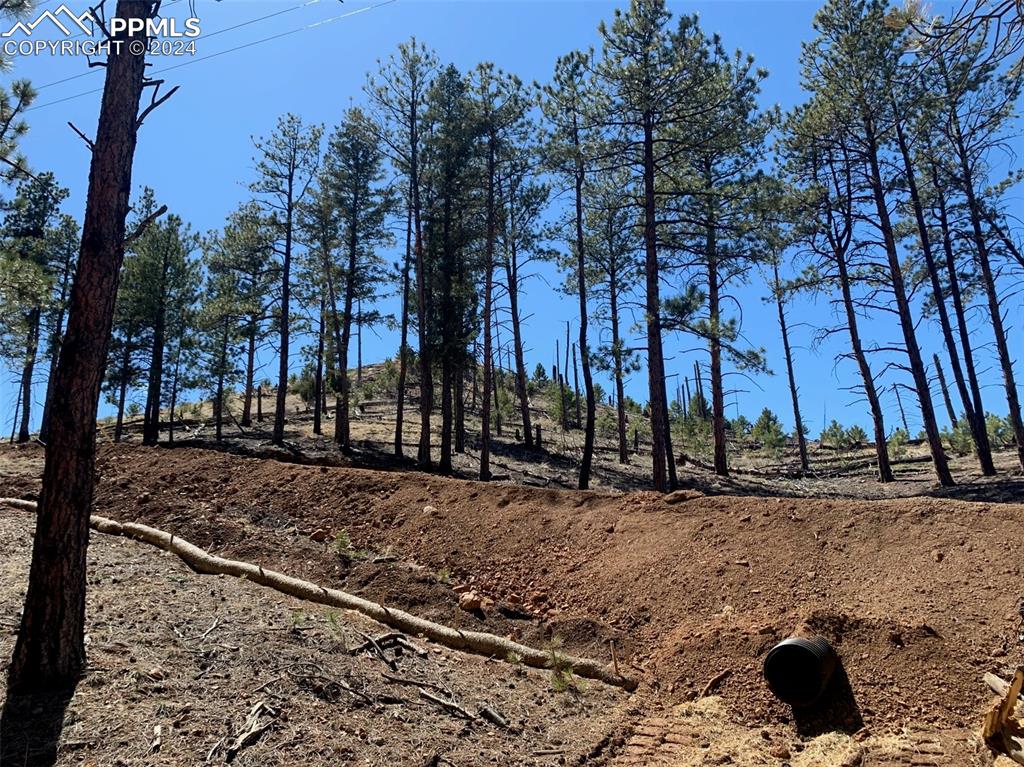 15421 Westcreek Road Woodland Park CO 80863