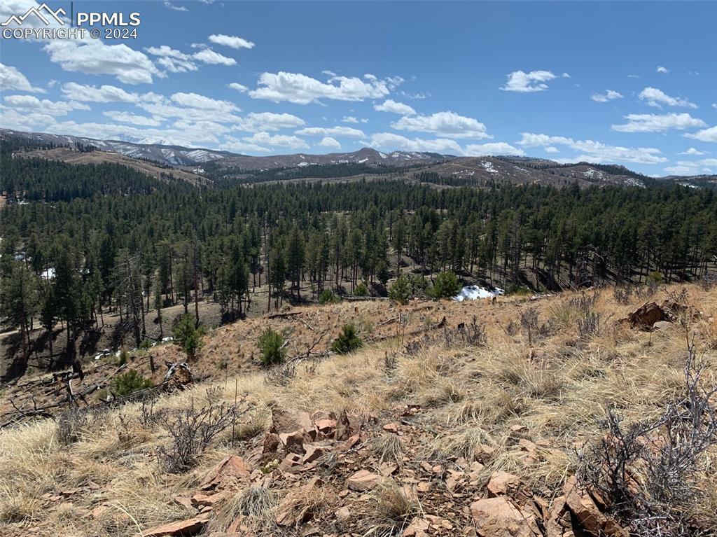 15421 Westcreek Road Woodland Park CO 80863
