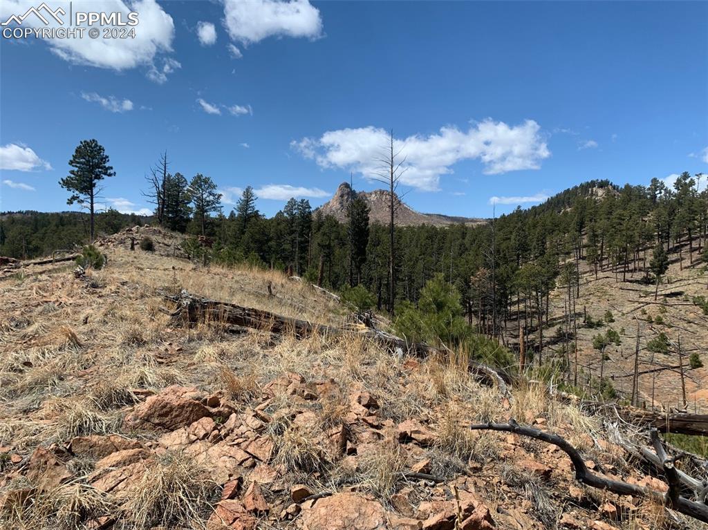 15421 Westcreek Road Woodland Park CO 80863