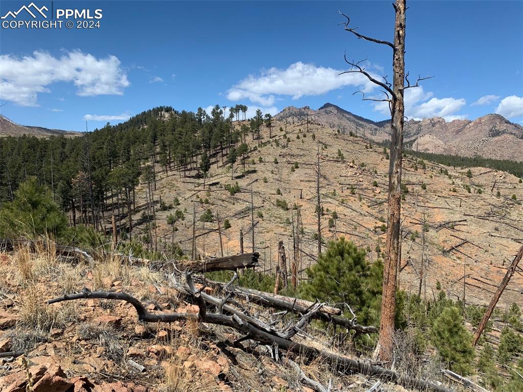 15421 Westcreek Road Woodland Park CO 80863