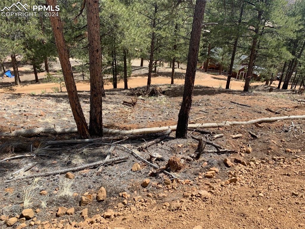 15421 Westcreek Road Woodland Park CO 80863